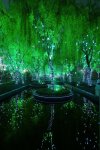 Magic-Forest-in-Shanghai sleeping forest.jpg