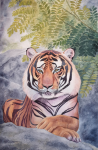 tiger02(1).png