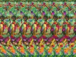 magic eye 68f7e36a26c2c5735a8e1304eaa328cc--eye-illusions-d-pictures.jpg