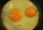 talking fried eggs.gif