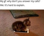 cat my gf why dont answer my calls is hard explain.jpg