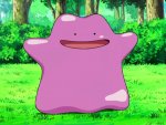Ditto_Number_1.0.jpeg
