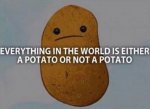 potato-everything-in-the-world-is-either-a-potato-or-not-a-potato.jpg