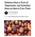 relatable potato just-found-out-im-actually-a-potato-368707.jpg