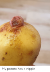 potato-has-a-nipple .png