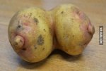 potato boobs.jpg