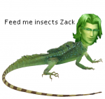 lizard.png