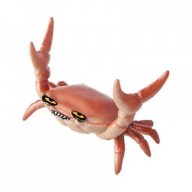 CrustyCrustacean