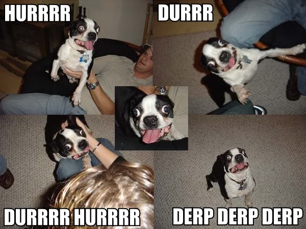 :derp: